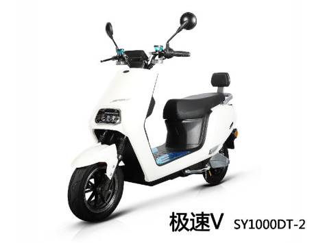 三雅SY1000DT-2电动摩托车极速V SY1000DT...图片