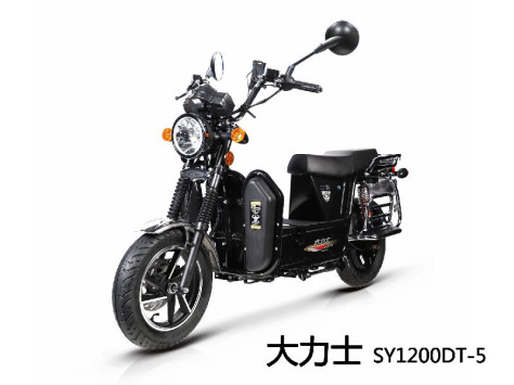 三雅SY1200DT-5电动摩托车大力士 SY1200DT...图片
