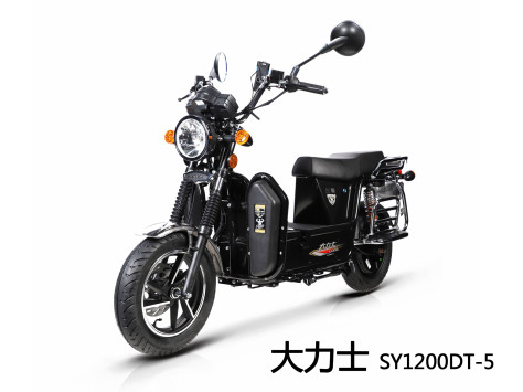 三雅 大力士 SY1200DT-5  电动摩托车大力士 SY1200DT-5图片