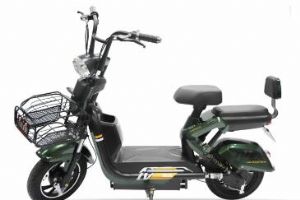 绿佳极战（NEW）电动摩托车官方图片
