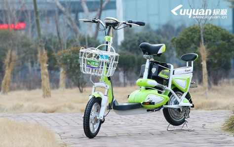 绿源 轻莓 JJZ-4T4812-Z1  电动自行车整车外观图片