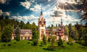 阳光下树林中的欧式城堡摄影图片