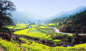 大山中的山村和油菜花地摄影图片