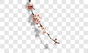 春天树枝上绽放的花朵免抠图片素材