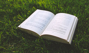 草地上的英文书籍高清摄影图片