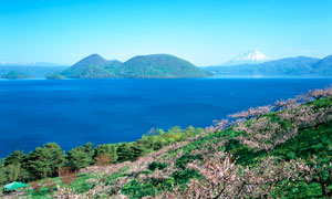 春季海岛上樱花园高清摄影图片