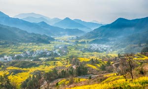 山脚下的油菜花地和村庄摄影图片