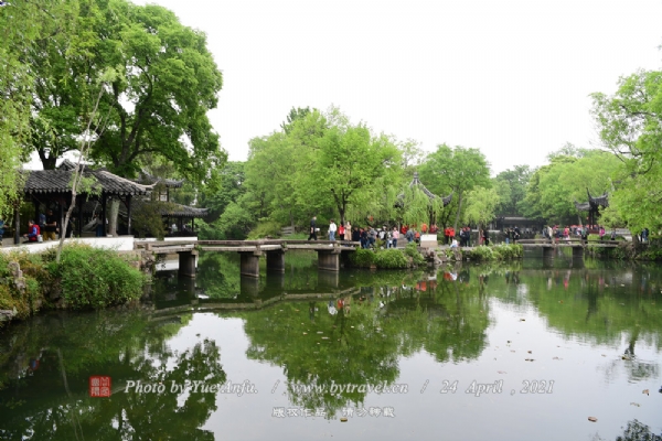 还有岸边远香堂东面的枇杷园，岛上的侍霜亭，北墙边的绿绮亭等，都各有独道之处；亭阁翼然，环以回廊，相互借映，彼此互应。长廊北面的见山楼立于荷花池中，为两层低矮的水阁，三面环水，一侧为假山，在静水衬托下产生一种山水楼亭、和协幽静的艺术效果。