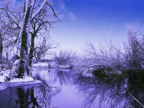 冬天河流雪景图片