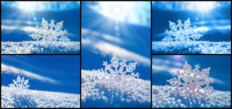 雪地上的冰花高清图片