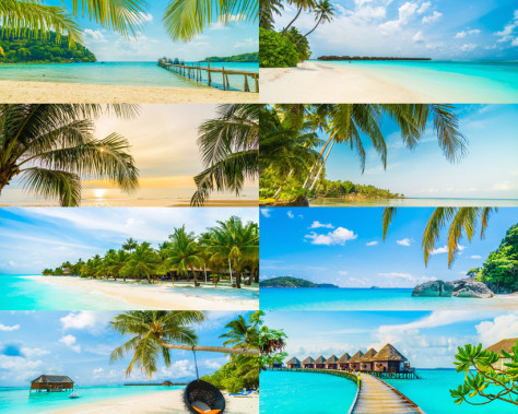美丽海滩椰树风光摄影高清图片
