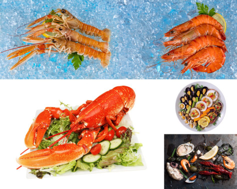 澳洲大龙虾美食摄影高清图片