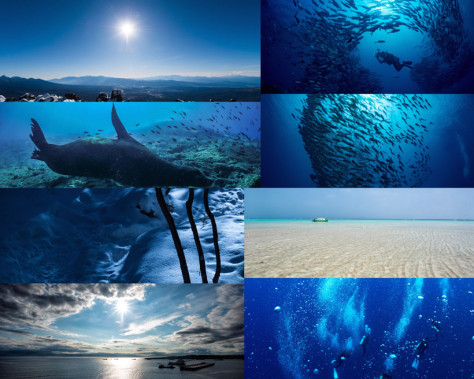 海洋海底风光摄影高清图片