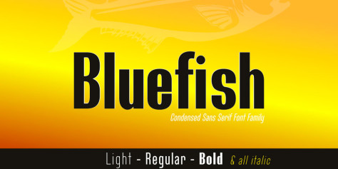 Bluefish Demo Font Family 英文字体