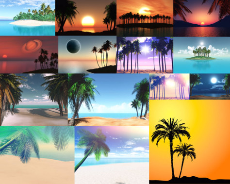 沙滩椰树摄影高清图片