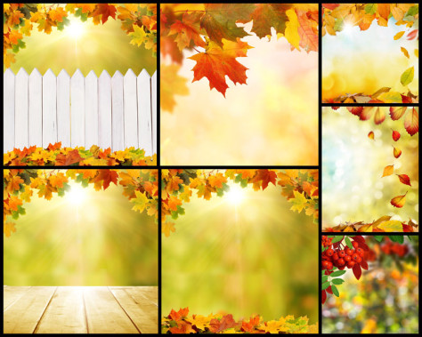 枫叶护栏边框摄影高清图片