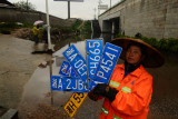 图文：暴雨后清洁工从积水中打捞出数块车牌