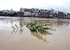 洪水淹没了河边的小树