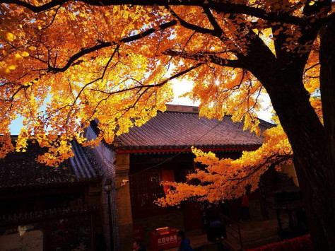 红螺寺有哪些好玩的 红螺寺旅游路线指南