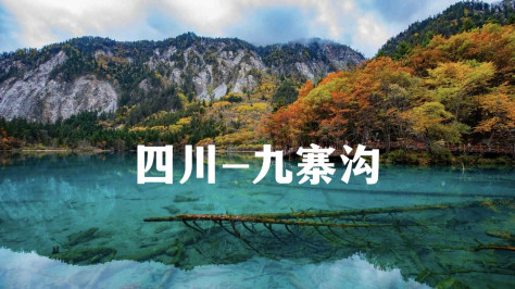 九寨沟5日旅游攻略 九寨沟旅游指南