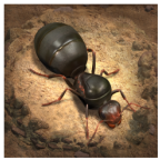小小蚁国全蚂蚁解锁版
