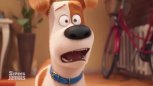 誠實預告片系列之The Secret Life of Pets/愛寵大機密