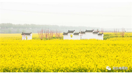  封丘花海野餐季，数千亩油菜花海为你盛开；更备有野餐包、一次性餐具、精美油菜花束、格子地席、垃圾袋等家庭野餐套组；此外就餐区铺设挑高栈道，设置太阳伞、民谣乐队；配以高标准的保洁服务，一切细微服务，只为你的完美就餐体验。 一朝花开，万众瞩目，邀你共赴封丘油菜花节“乡趣花海野餐季”！ 