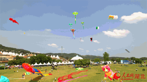 风筝节比赛正在进行中。人民网记者 周倩文摄
