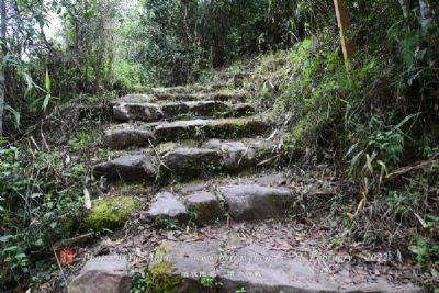 九龙山古道