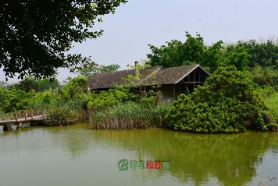 观音湖生态湿地公园