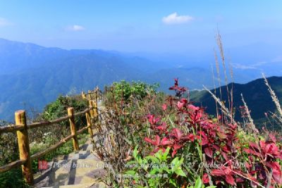 六盘山国家森林公园