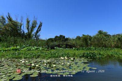 西溪国家湿地公园