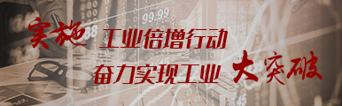 实施工业倍增行动 奋力实现工业大突破