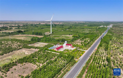 Das Horqin-Sandland in Nugusitai in Tongliao in der Inneren Mongolei ist von immer mehr grünen Pflanzen bedeckt. (Drohnenfoto vom 15. Mai, Lian Zhen/Xinhua)