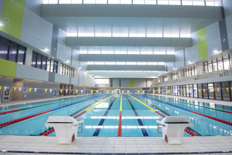 体育馆内的游泳馆。华南农业大学供图