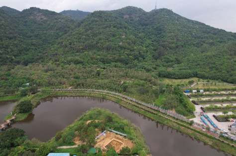 平面岗遗址发掘区与西樵山相对位置关系。广东省文物考古研究院供图