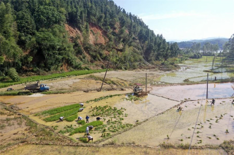 Photo prise par un drone de villageois repiquant le riz dans le bourg de Xingning, à Zixing, dans la province chinoise du Hunan (centre), le 7 août 2024. (Photo : Li Ke)