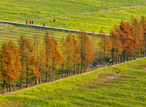 Des touristes visitent une zone rurale du district de Zhenhai, à Ningbo, dans la province du Zhejiang (est de la Chine), le 27 décembre 2023. (Hu Xuejun / Pic.people.com.cn)