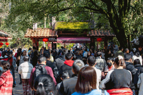 春节假期，武夷山游人如织。