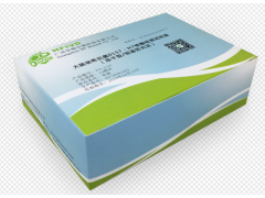 大肠埃希氏菌0157:H7检测试剂盒（冻干型、恒温荧光法）
