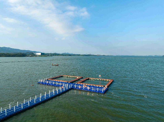 位于湖口县南北港水域的江豚迁地保护基地 李学华 摄