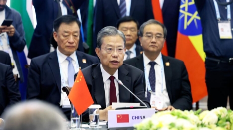 China's top legislator attends 10th BRICS Parliamentary Forum