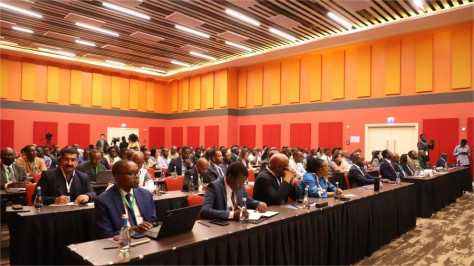 Seminar held on China-Africa agricultural development strategies to improve food production