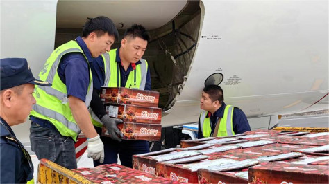 Tajikistan cherries quickly enter Chinese market thanks to efficient customs clearance at airport in China's Xinjiang