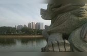 对面那几栋大楼就是晋江市的一地方！！#一路行摄 #夏日趣生活