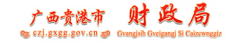 广西贵港市财政局网站