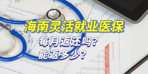 海南灵活就业医保每月返还吗？能返多少?