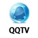 QQTV