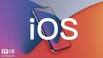 苹果 iOS/iPadOS 16.6 开发者预览版 Beta 5 发布