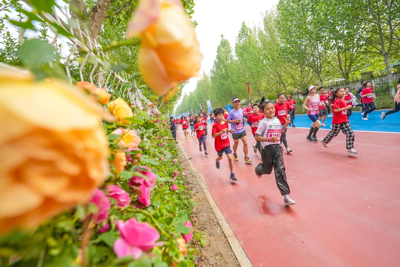 “北京花马”上午开跑，6000名跑者畅享林间花海赛道